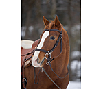 Trekking Bridle Nevada