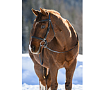 Trekking Bridle Nevada