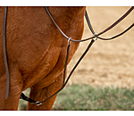 Western Training Fork Basic