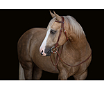 Western Headstall Wapi