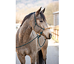 Closed Reins Bonny