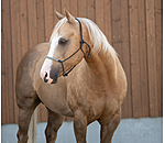Knotless Rope Halter Bonny