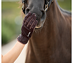 Summer Riding Gloves Omeo