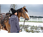 Western Headstall with Reins Stars