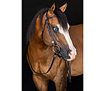 Western Headstall with Reins Stars