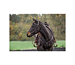 Western Headstall with Reins Stars