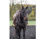   Western Breastplate Stars 