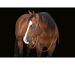 Working Headstall Buckle End
