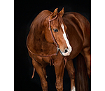 Single Ear Headstall Buckle End
