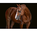 Single Ear Headstall Rawhide
