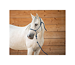 Rope Halter Set Haylie
