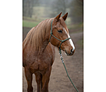 Rope Halter Set Haylie