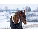 Soft Fleece Rug Wanda