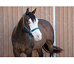 Halter Stella