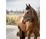 Halter Stella