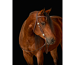 Headstall Crystal Dream