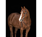 Headstall Crystal Dream