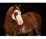 Headstall Crystal Dream