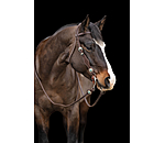 Headstall Crystal Dream