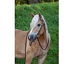 Headstall Cutting