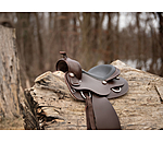 Western Saddle Start