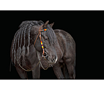 Headstall Perla