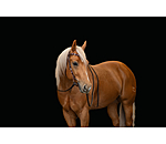 Headstall Ikat