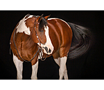 Headstall Ikat