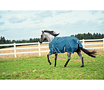 Lightweight Turnout Rug Billy