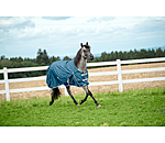 Lightweight Turnout Rug Billy