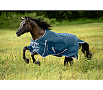 Lightweight Turnout Rug Billy