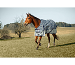 Lightweight Turnout Rug Billy