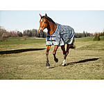 Lightweight Turnout Rug Billy