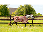 Lightweight Turnout Rug Billy