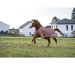 Lightweight Turnout Rug Billy