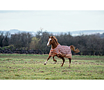 Lightweight Turnout Rug Billy