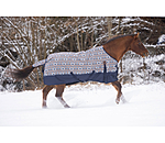 Lightweight Turnout Rug Billy