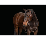 Western Headstall Valea