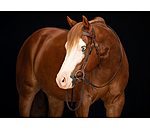 Western Headstall Valea