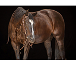 Western Headstall Copper