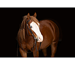 One Ear Headstall Copper