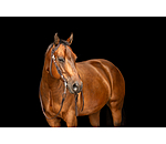 One Ear Headstall Copper