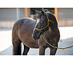 Rope Halter Set Soft