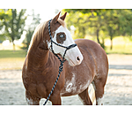 Rope Halter Set Soft