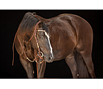 Headstall Braided Rawhide