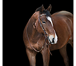 Headstall Braided Rawhide