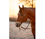 One-Ear Training Headstall Harness