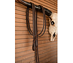 Western Reins Harness