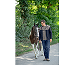 Men's Sweatshirt Jacket Jasper