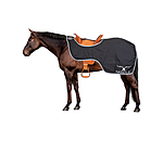 Waterproof Exercise Rug Weather Protect